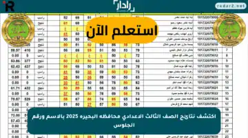 اكتشف نتائج الصف الثالث الإعدادي محافظة البحيرة 2025 بالاسم ورقم الجلوس